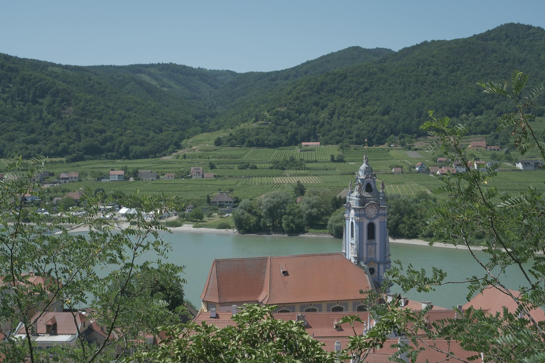 Dürnstein Church with vineyards and Danube River in Wachau