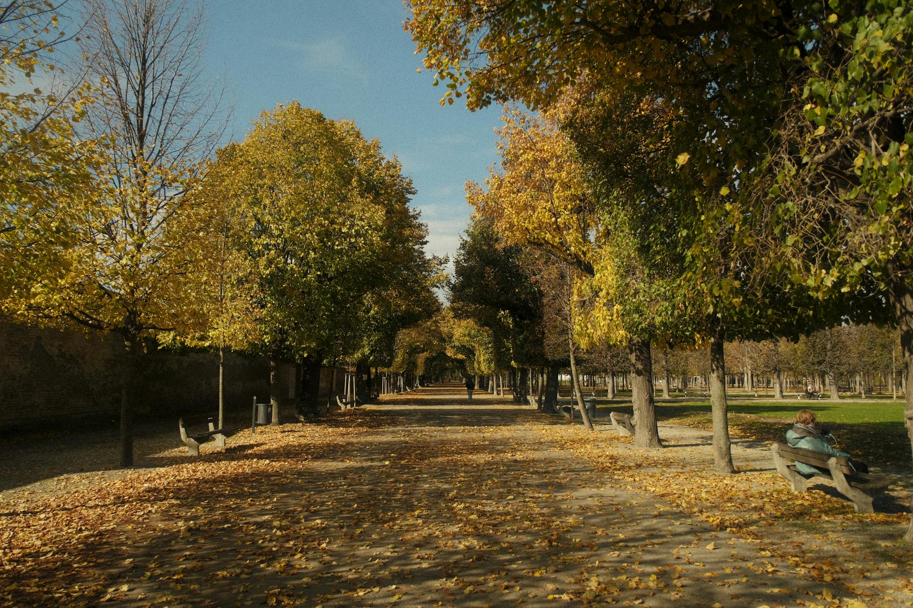 The Augarten — Vienna's oldest Baroque park (1614), home to the Vienna Boys' Choir and porcelain manufactory