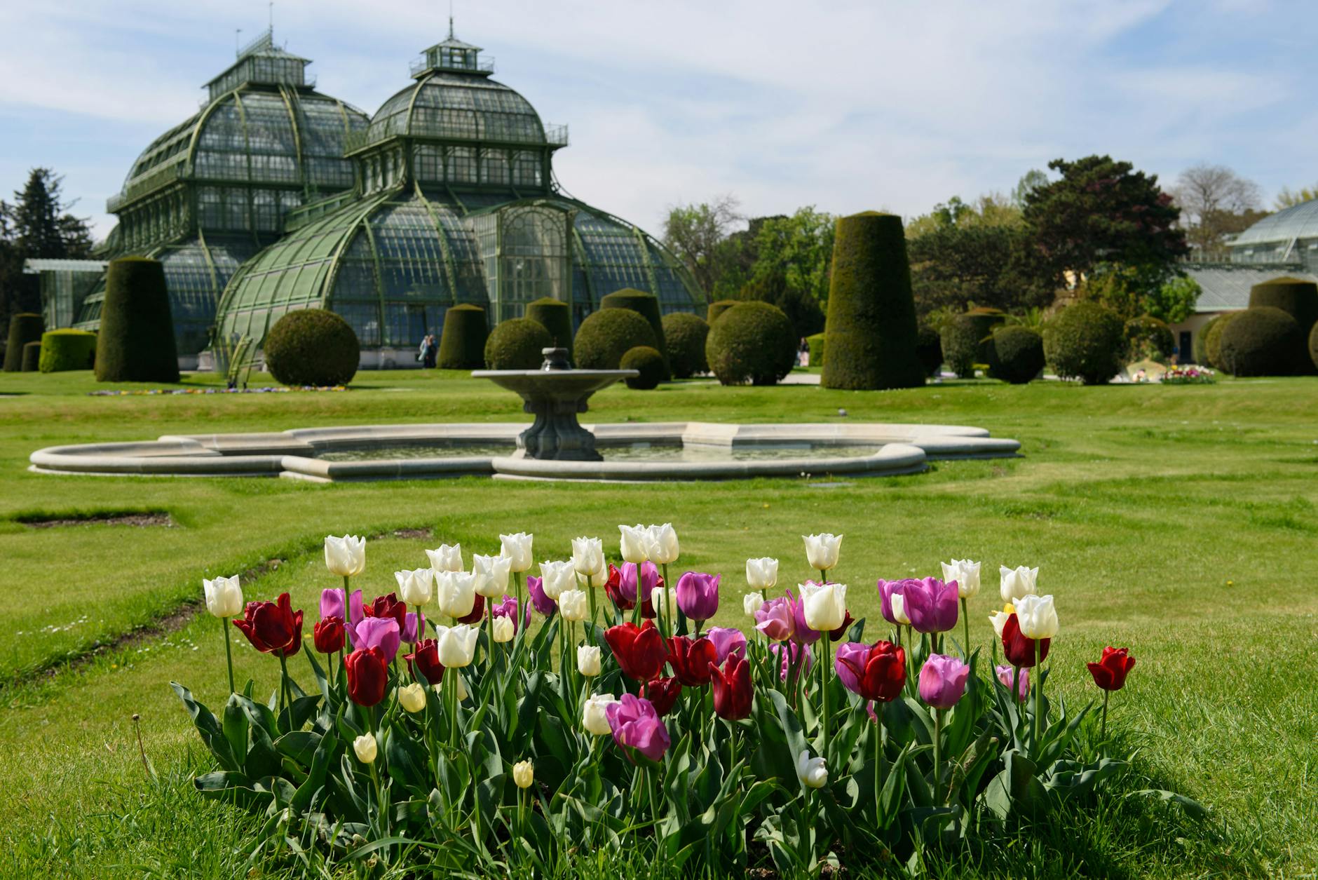 Vienna's parks bursting with tulips and blossoms in spring