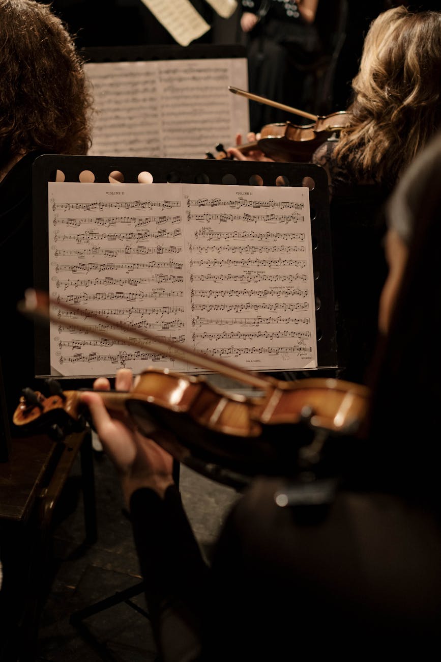 Classical orchestra musicians performing with string instruments in concert setting