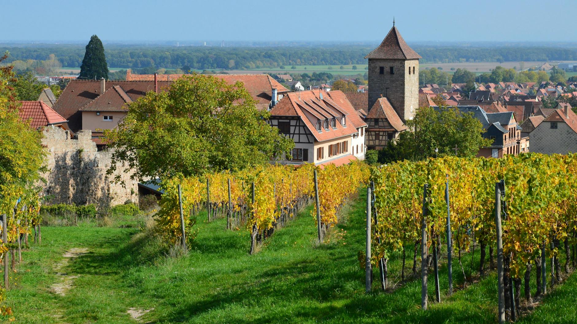 Grinzing — the most-visited wine village, in Vienna's 19th district