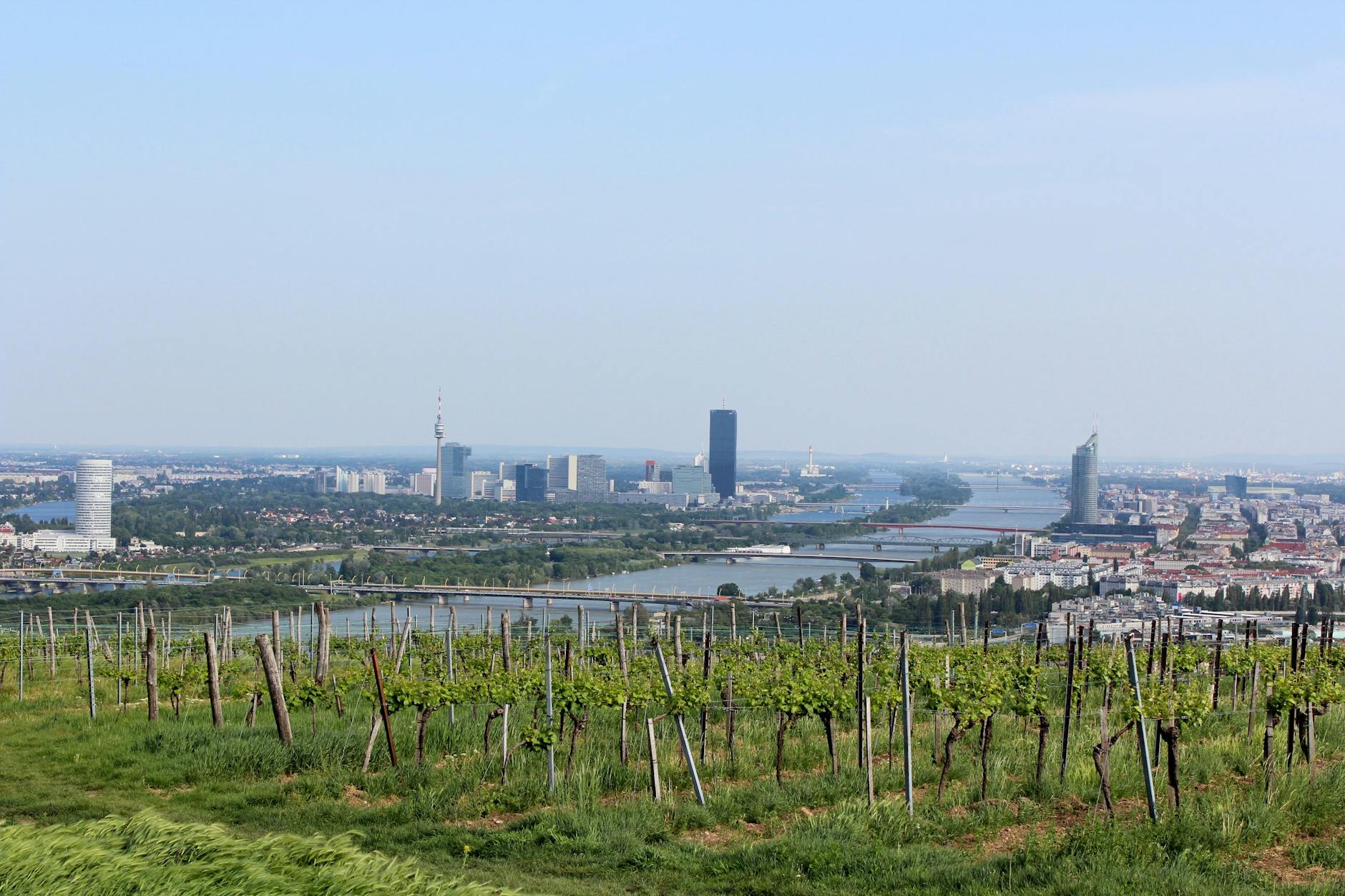 Vienna skyline and vineyards viewed from Kahlenberg Hill