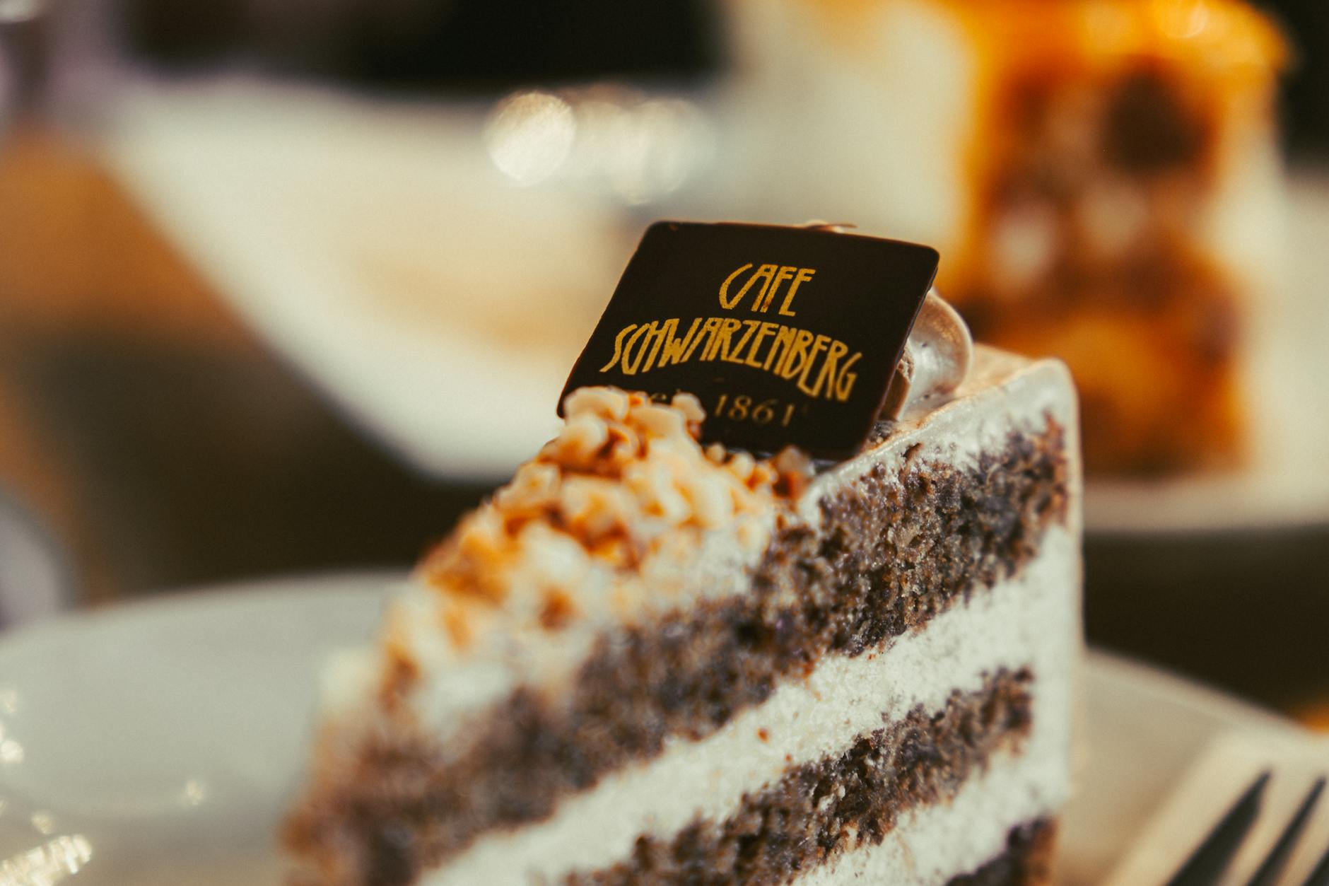 Slice of Sachertorte cake at a Vienna café