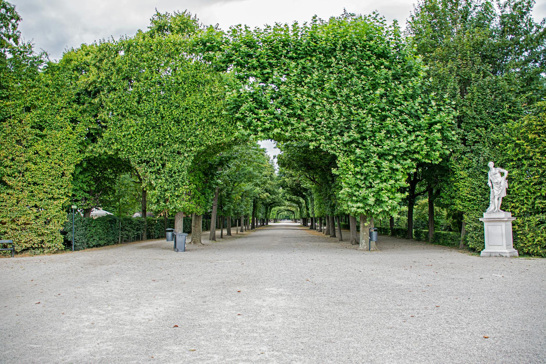 Serene tree-lined pathway in Schönbrunn Park Vienna