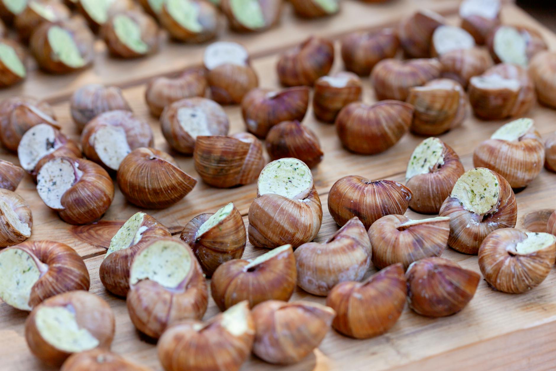 Gugumuck — Vienna's snail farm with an attached escargot restaurant