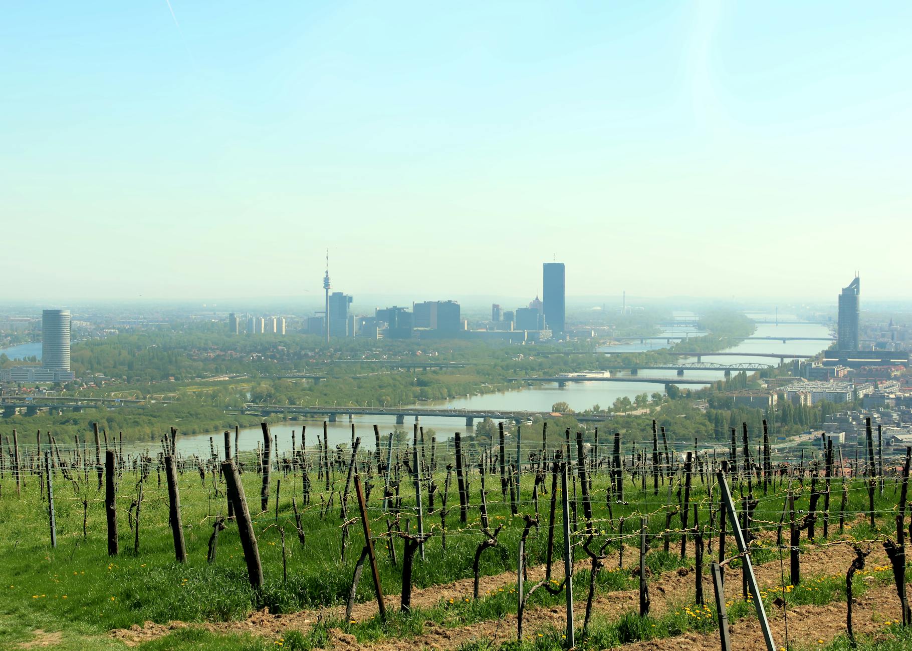 Vienna skyline with the Danube River viewed from a vineyard in spring