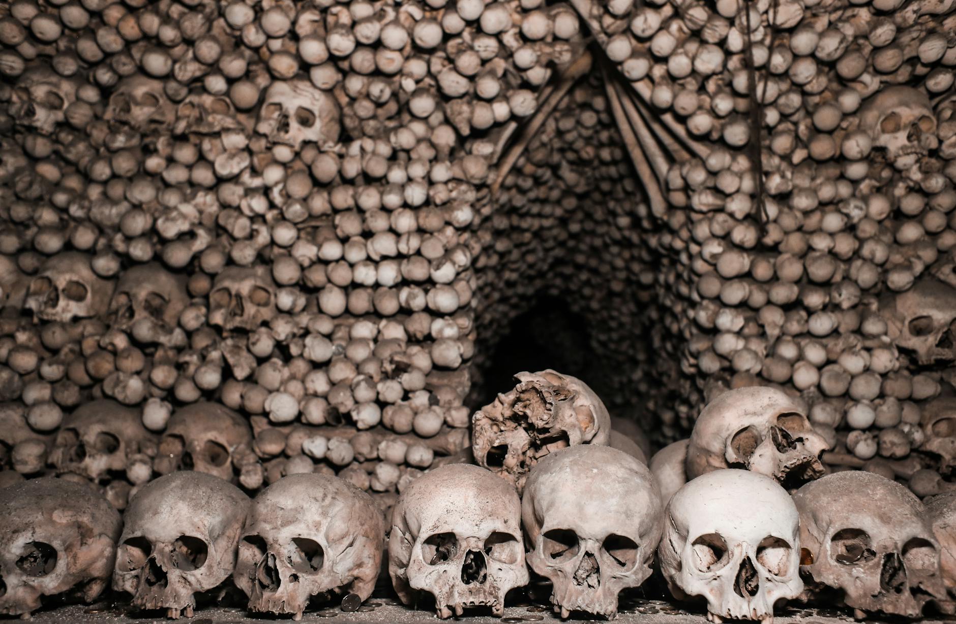 The Stephansdom catacombs hold the bones of 11,000 plague victims and Habsburg royal organs