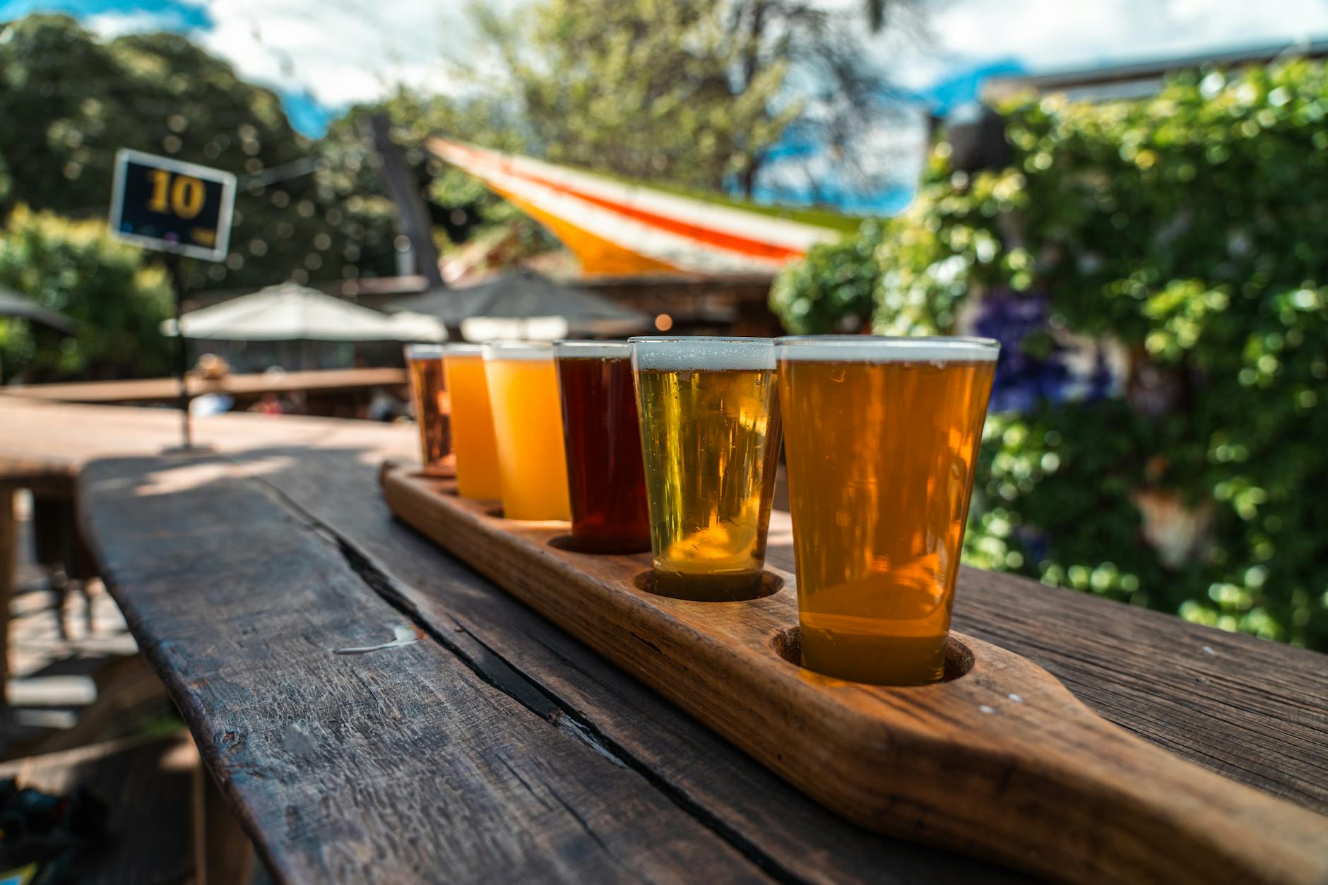 Beer garden Vienna outdoor