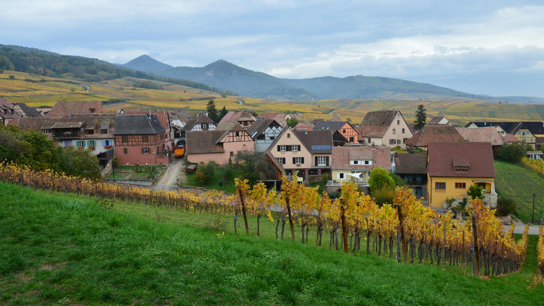 Grinzing wine village Vienna