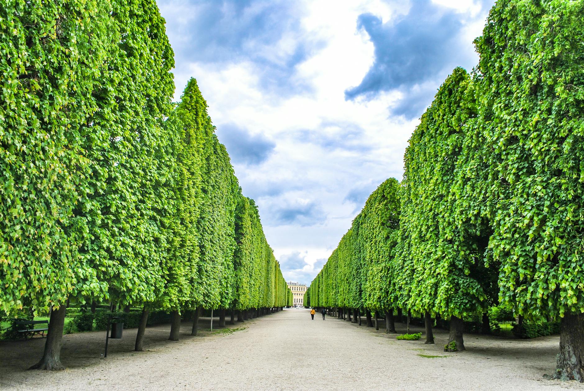 The 4.4-km Hauptallee — Vienna's tree-lined boulevard through the Grüner Prater