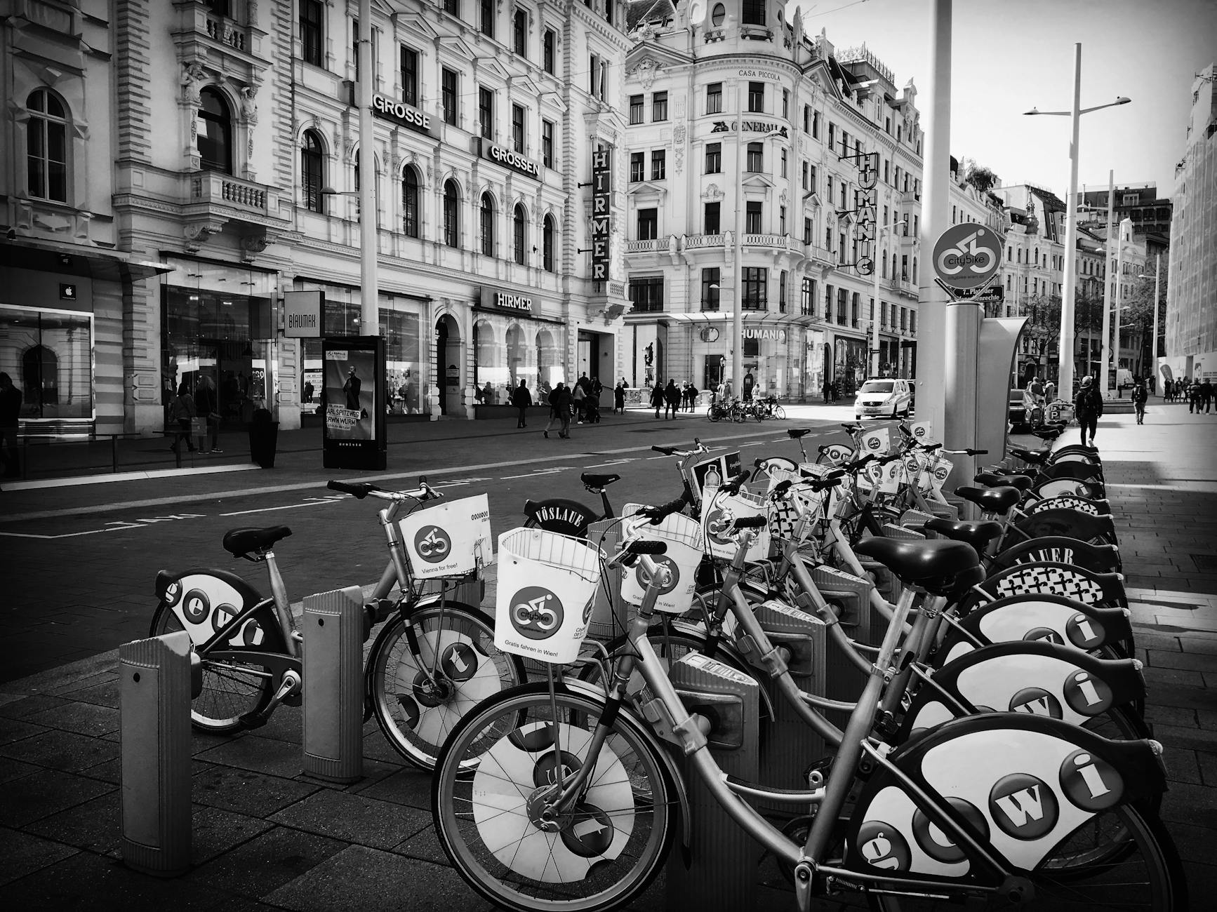 Biking in Vienna: Bike Rentals, Best Routes & Cycling Guide 2026