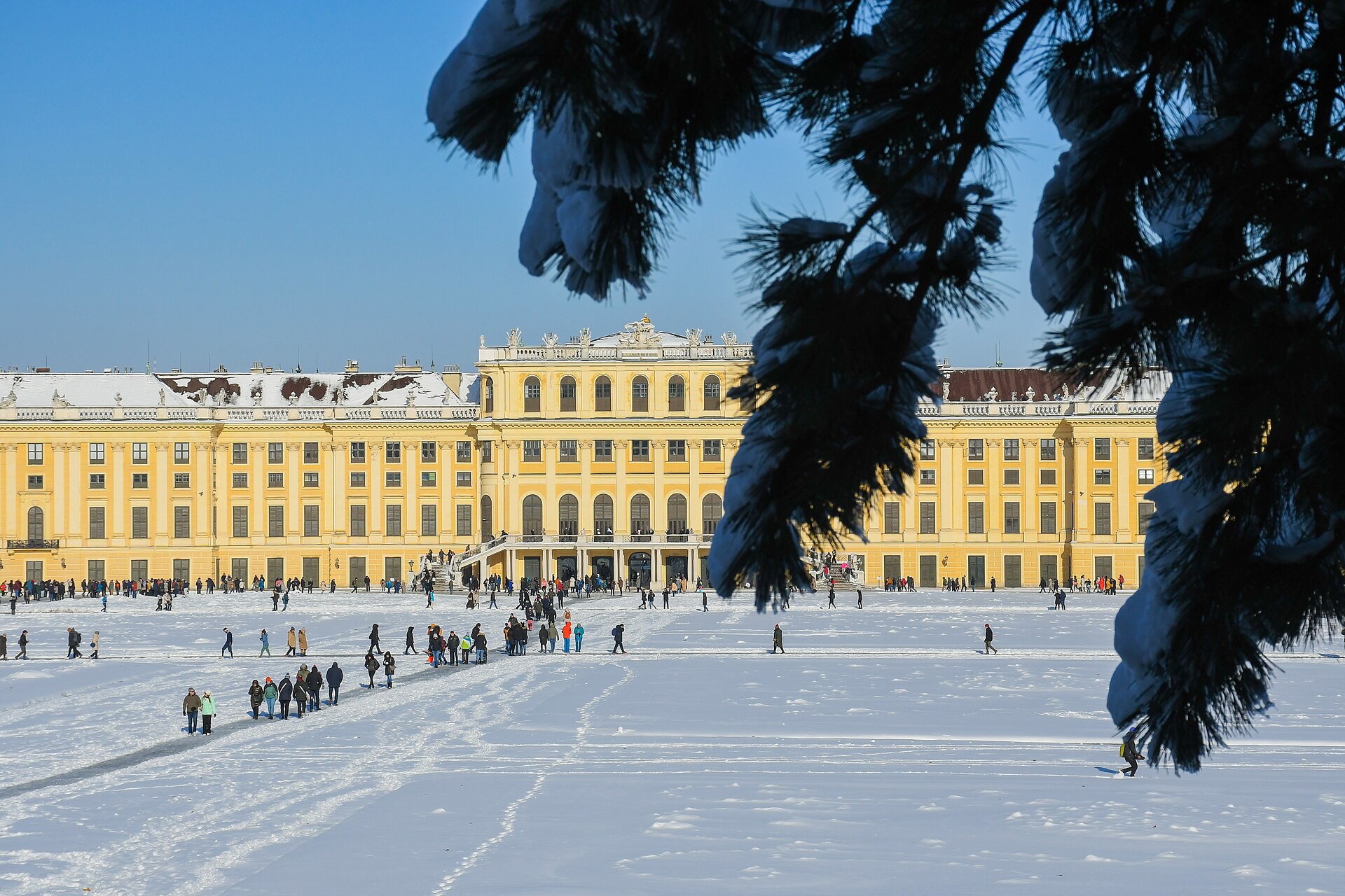 Schoenbrunn Palace behind a wide field of untouched snow with visitors walking along cleared paths and a snow-laden pine branch in the foreground