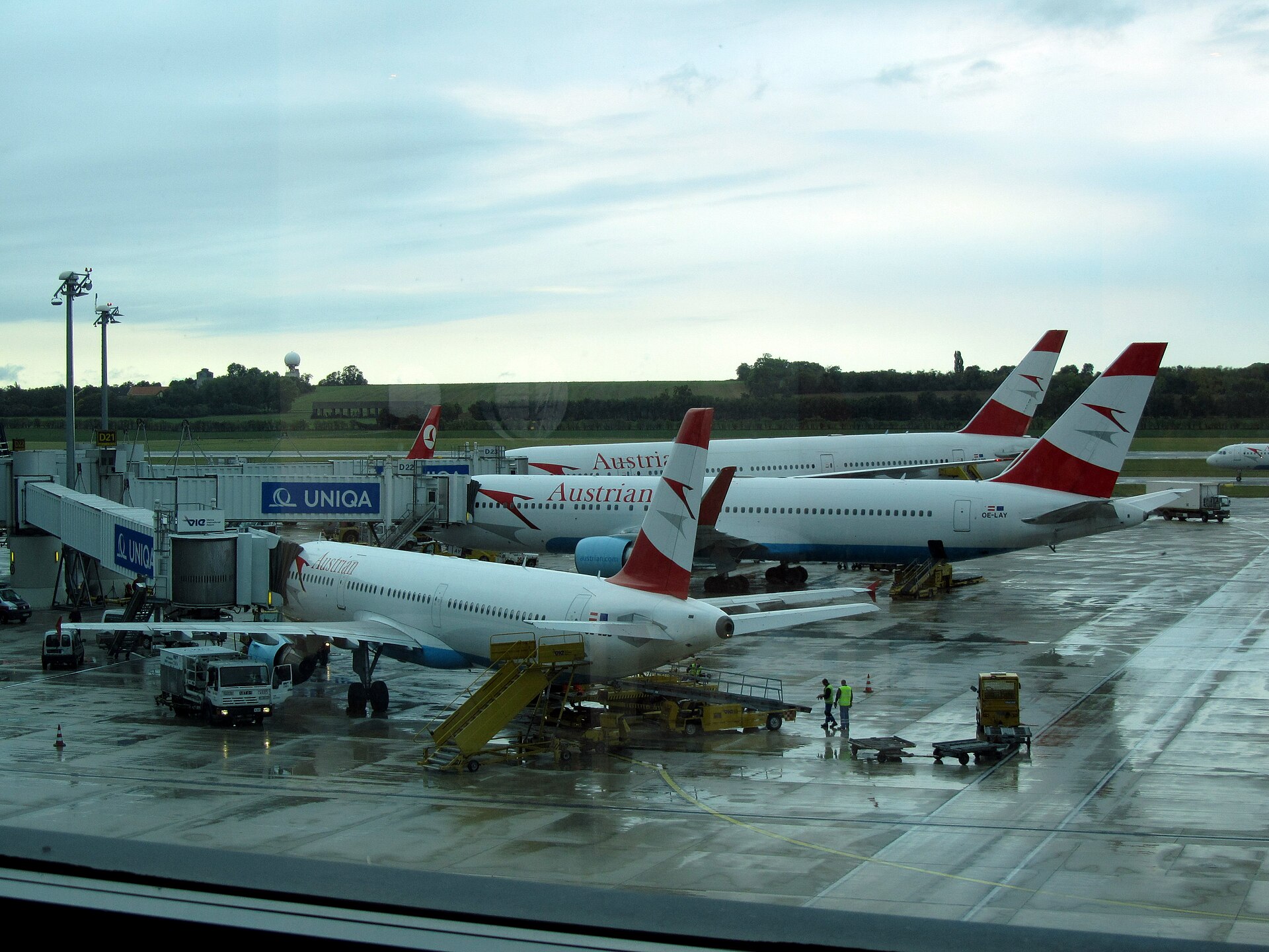 Austrian Airlines aircraft parked at gates on a wet apron at Vienna Airport