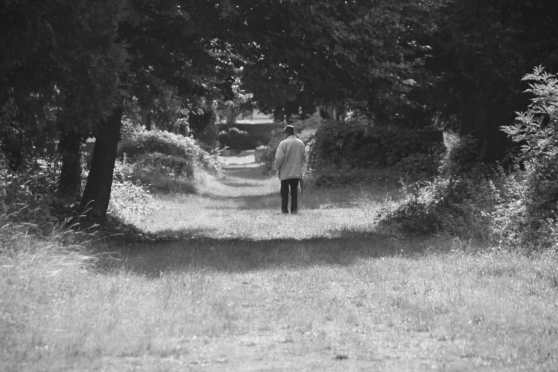 A lone figure in a hat and coat walking away down a tree-lined cemetery path, photographed in black and white